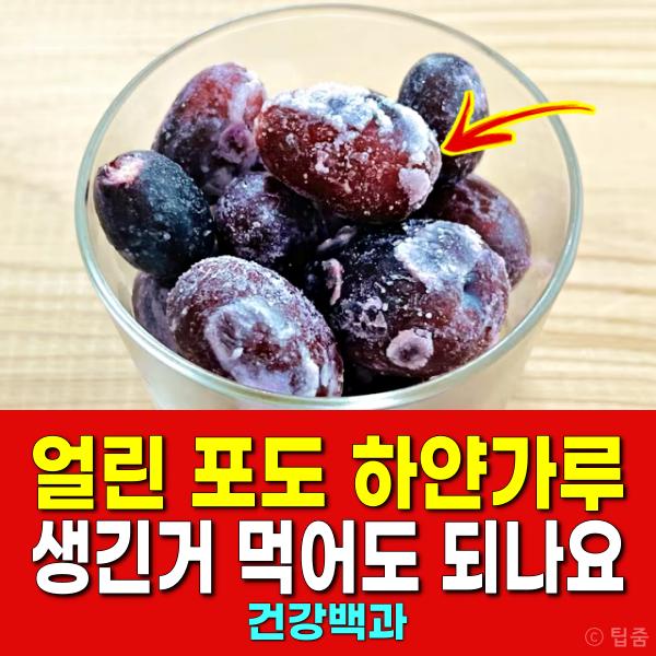 얼린 포도 하얀가루 곰팡이 먹어도 되나요