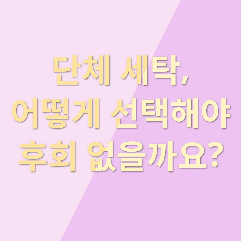 단체 세탁 효율성_3