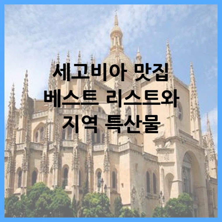 세고비아 맛집 베스트 리스트와 지역 특산물