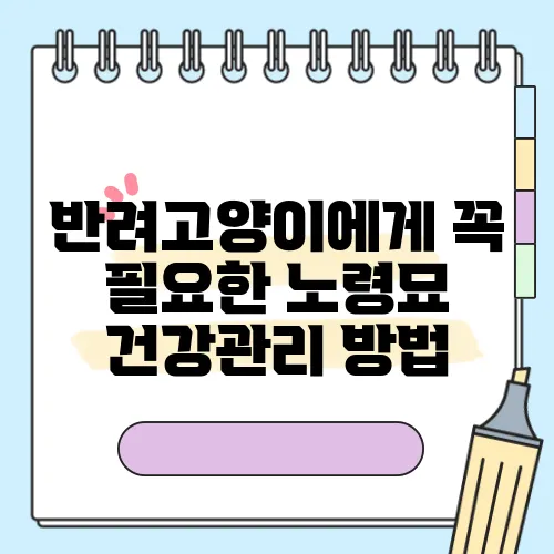 반려고양이에게 꼭 필요한 노령묘 건강관리 방법