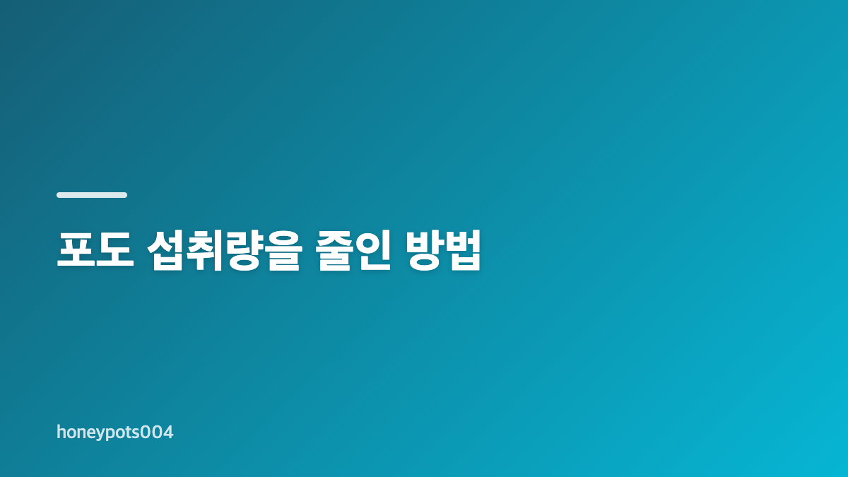 오은영 과일 다이어트와 식단 조절 핵심