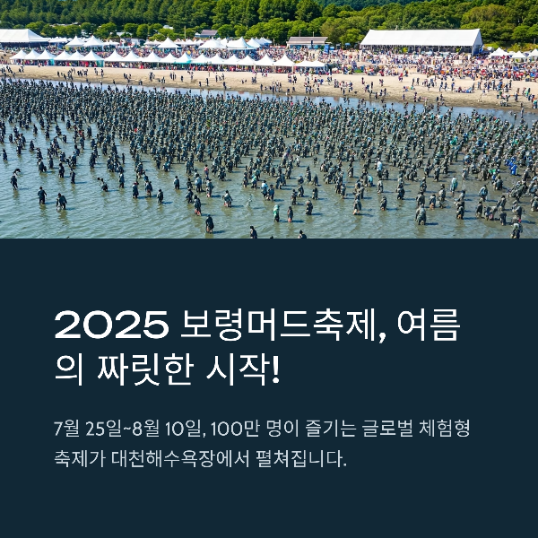 보령 머드 축제 2025 : 여름의 짜릿한 시작! 진짜 축제가 시작된다!