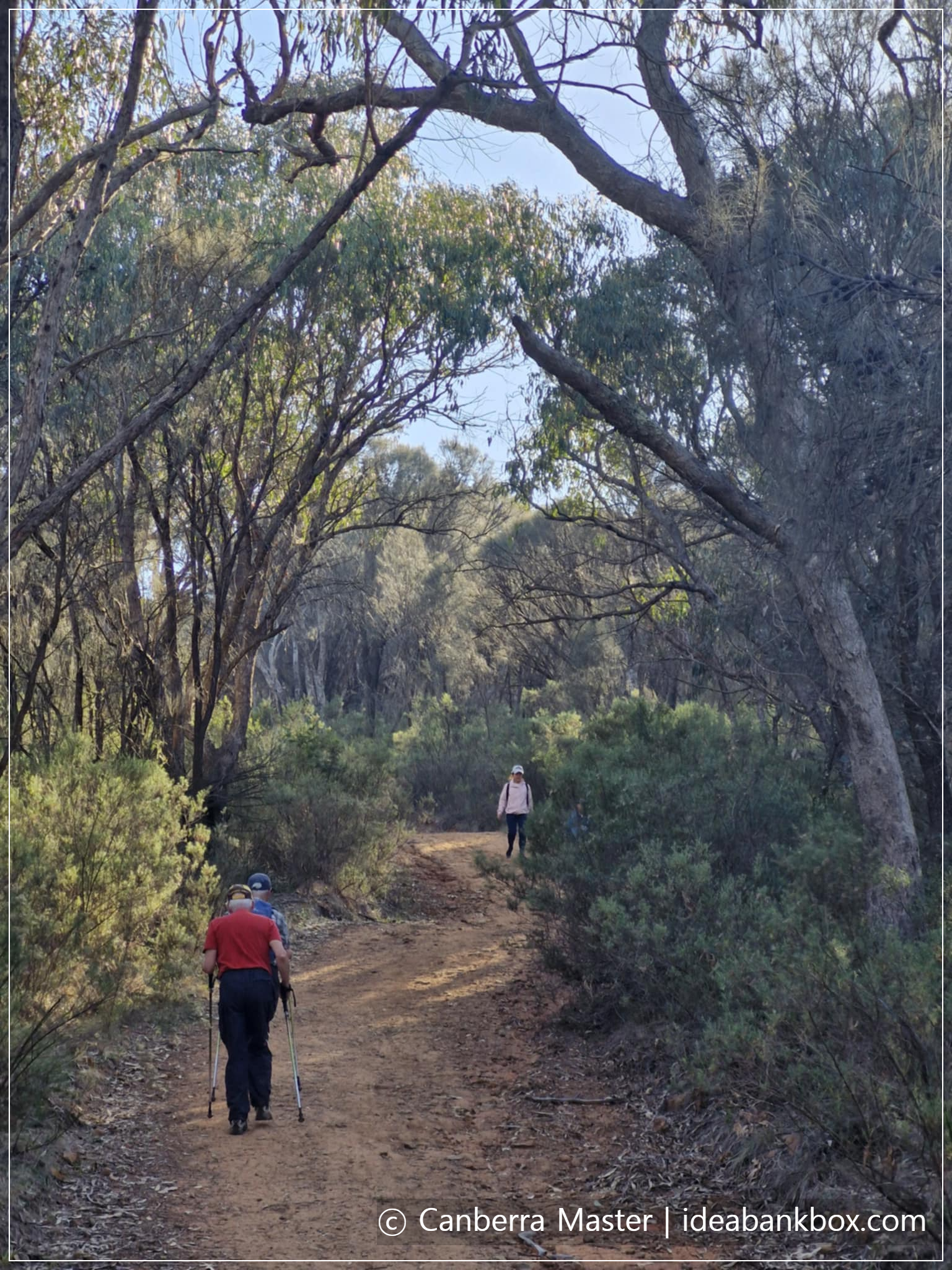 어르신들도 등반 가능
