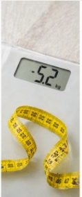 명의 이미지