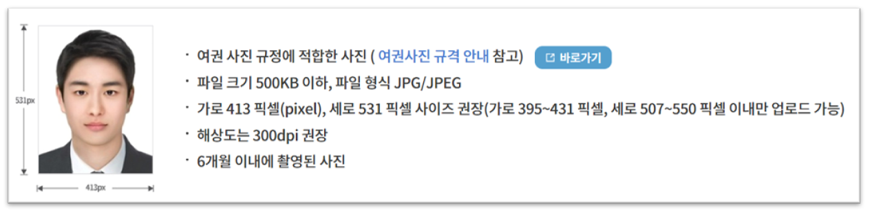 온라인용 여권사진 규격