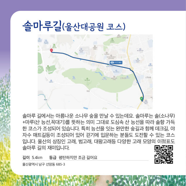 [명품숲길 50선] 울산 남구 솔마루길, 소나무 숲과 전망이 어우러진 힐링 숲길