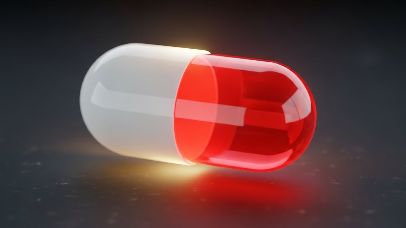 구충제먹는방법