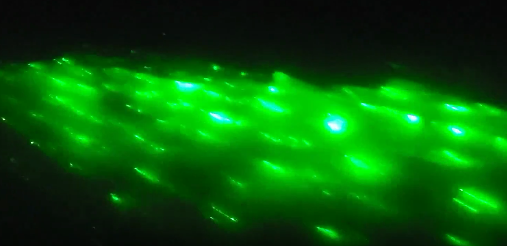 코타키나발루반딧불투어 위치 섬투어 자유여행