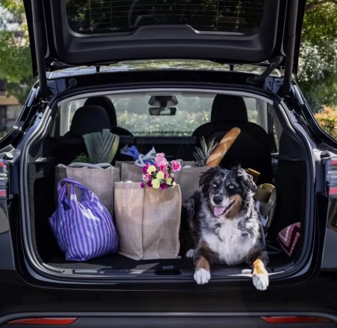 테슬라 모델y 보조금