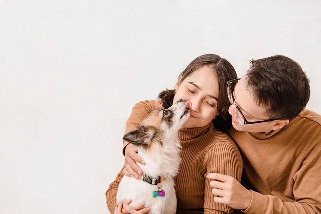 고양이가 발 핥는 이유_4