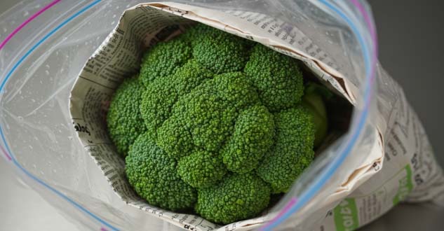 브로콜리 보관법