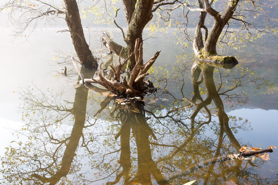 2024 가을 단풍 명소 7곳 소개