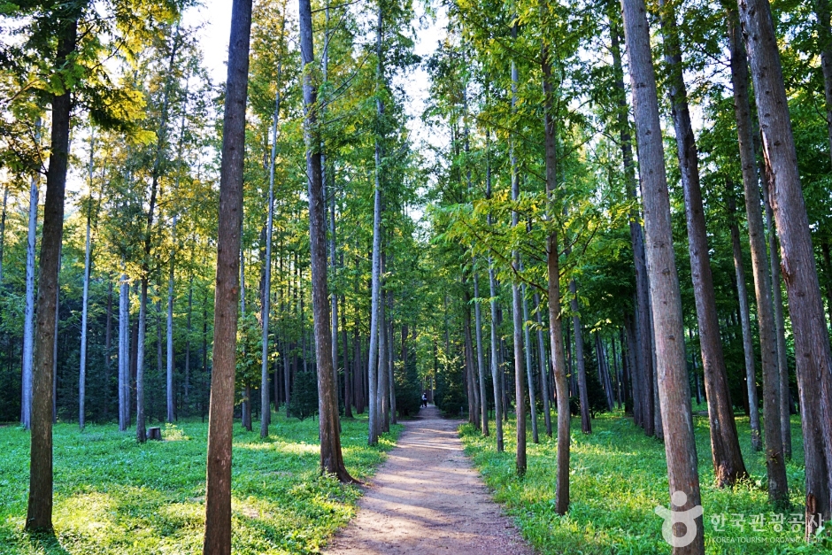 영덕 가볼만한곳 베스트10