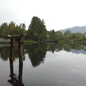 유후인 여행 추천 텐소신사