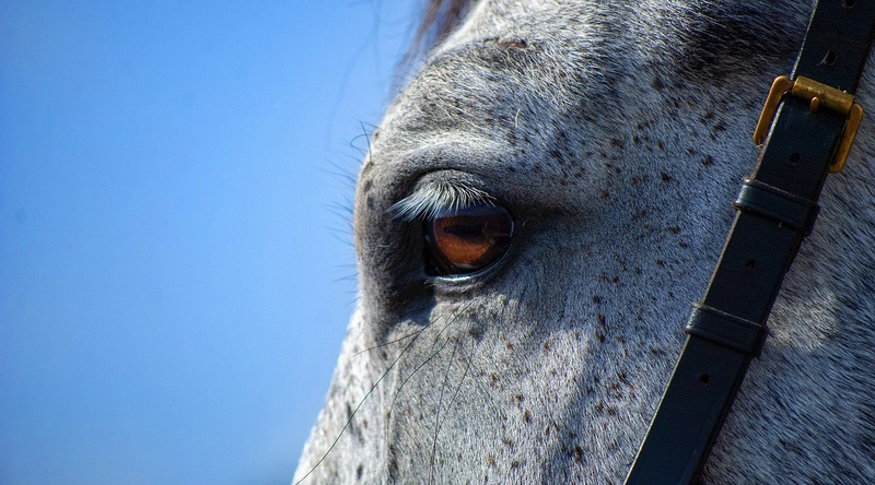 건설업의 정의와 종류