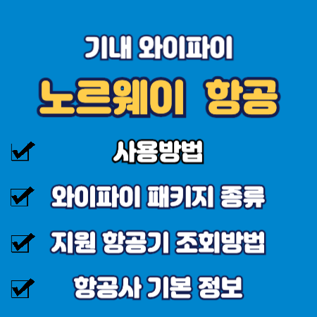 노르웨이 항공 기내 와이파이