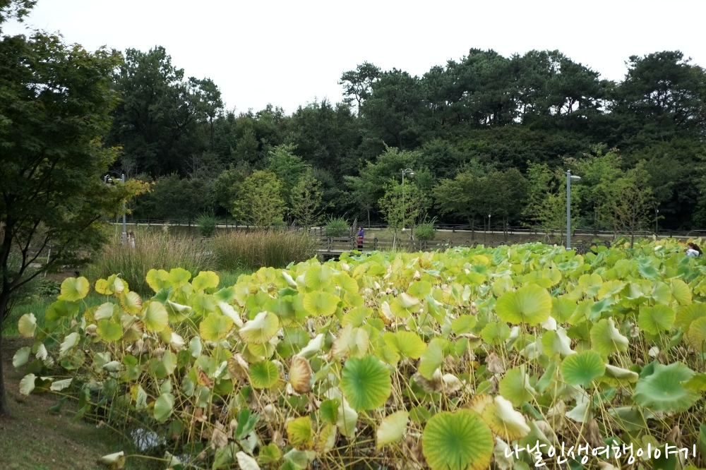 &ldquo;한국관광_품질인증_숙소_11&rdquo;