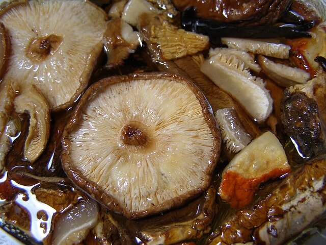 표고버섯 맛간장