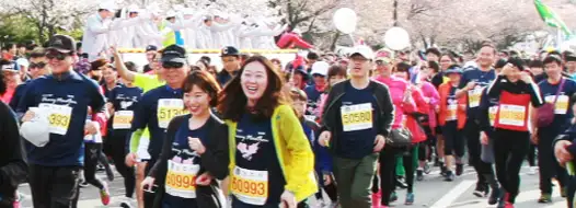경주 벚꽃 마라톤 대회 사진