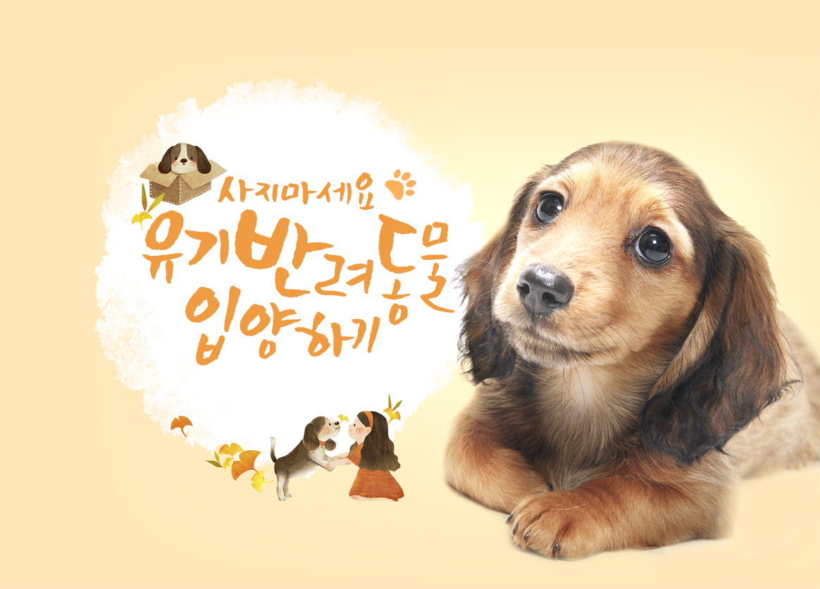 강아지 무료 분양
