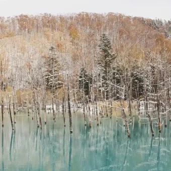 홋카이도 북해도 삿포로 자유여행 필수품_15