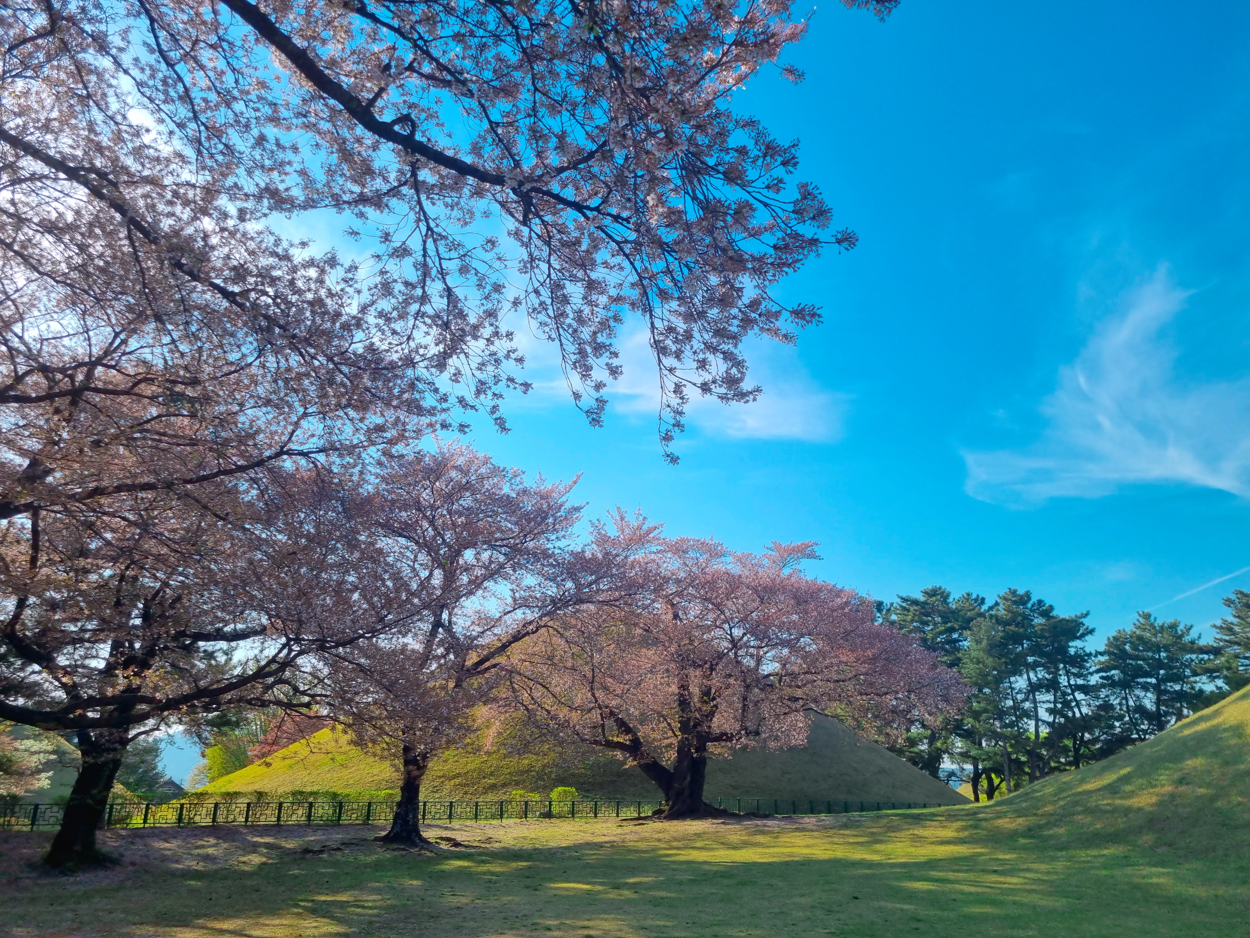 경주 대릉원