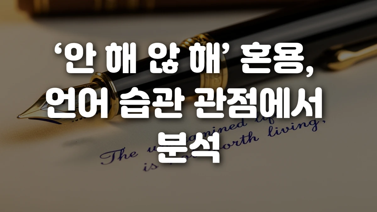 안 해 않 해 혼용 언어 습관 관점에서 분석