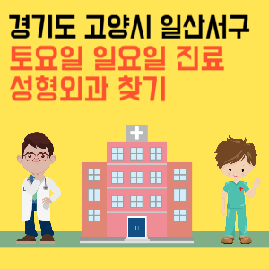 경기도 고양시 일산서구 일요일 성형외과 진료 병원 리스트