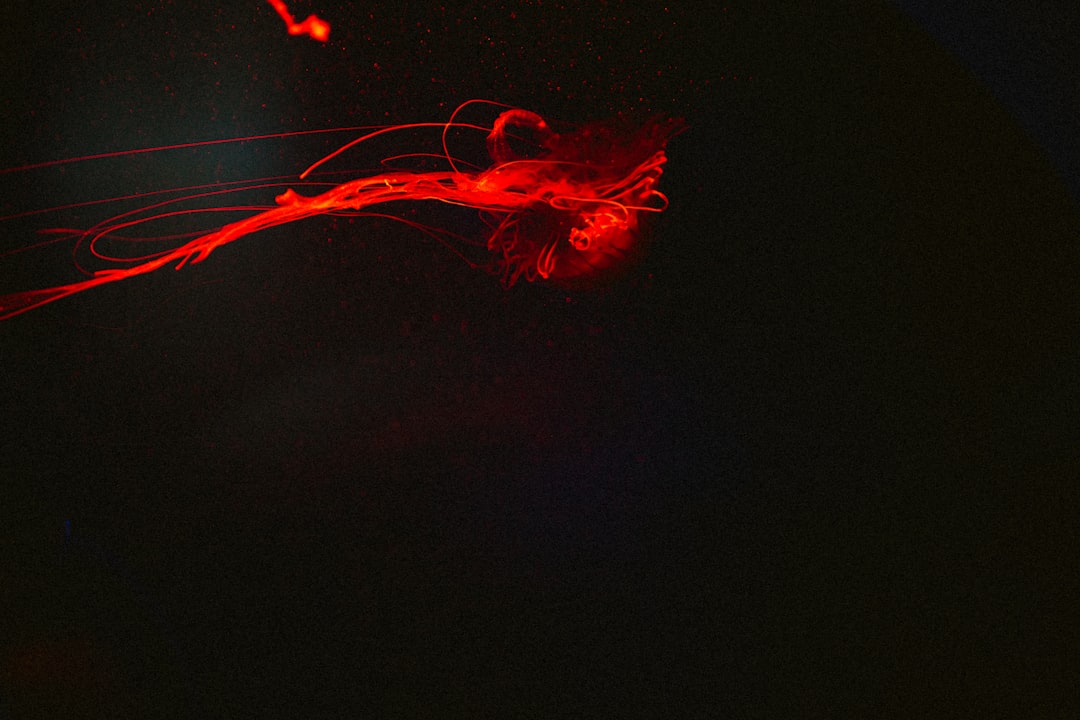 Nerve