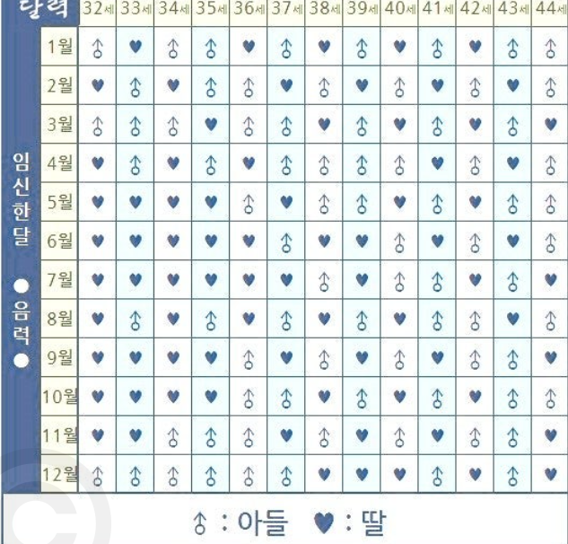태아 성별 확인 사이트 활용한 중국황실달력 아들 딸 예측 및 임신 초기 확인 후기