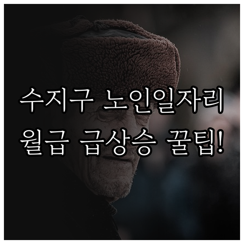 용인 수지구 노인일자리 종류와 신청 ..