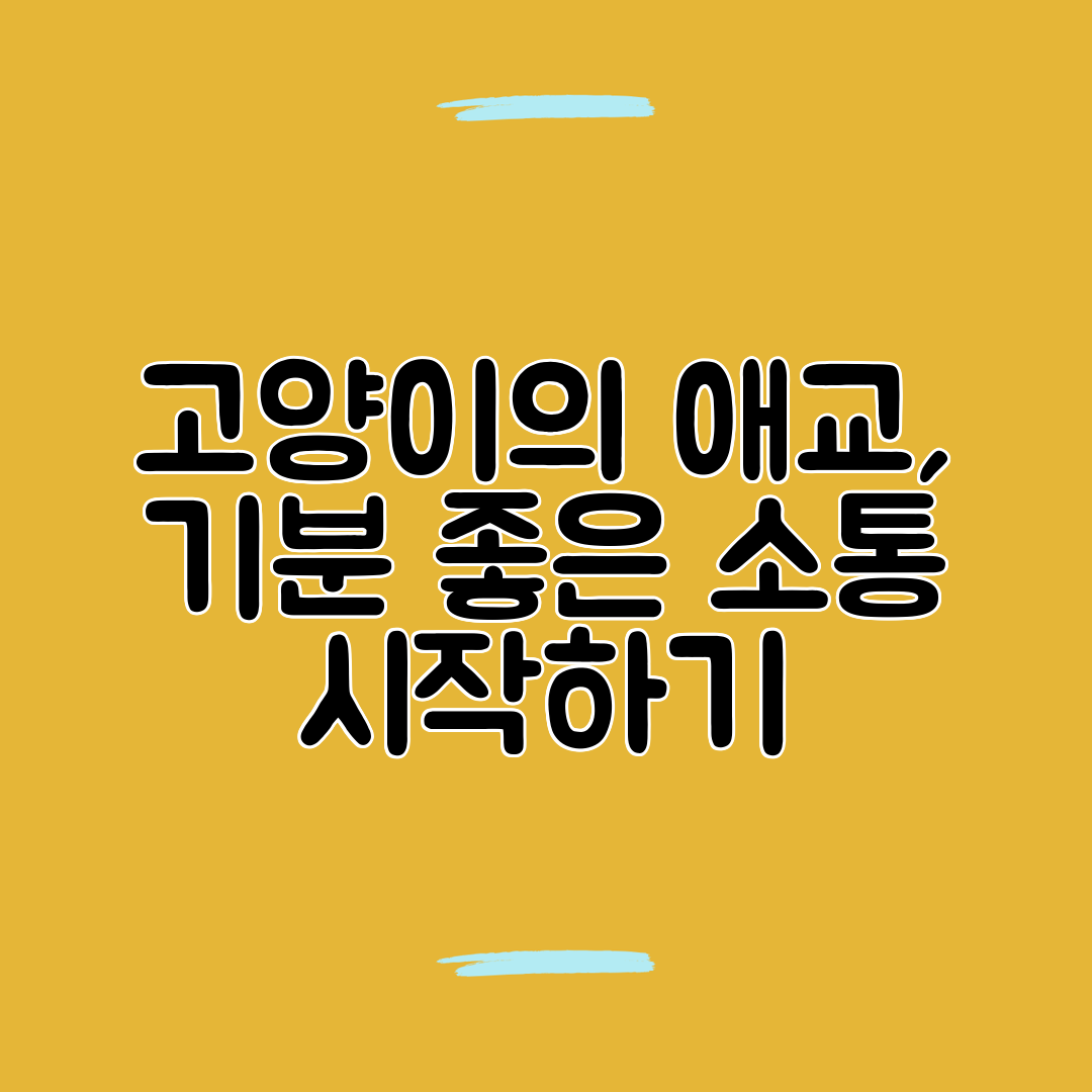 고양이의 애교, 기분 좋은 소통 시작하기