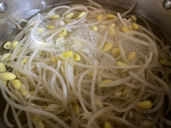 콩나물 무침 맛있게 만드는법 - 뚜껑 열고, 강불에서 5분 데치기