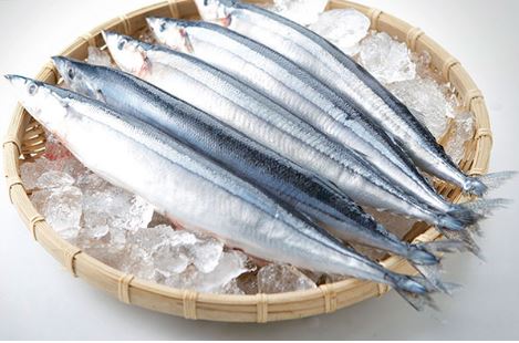 단백질 많은 음식