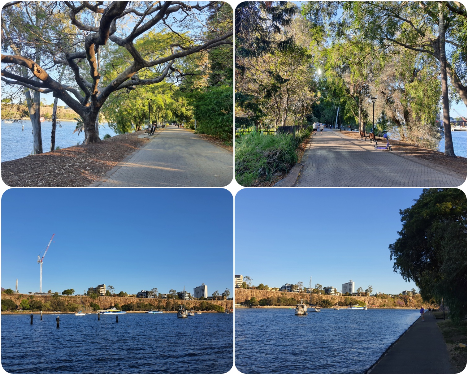 시티 보타닉 가든 강변 산책로