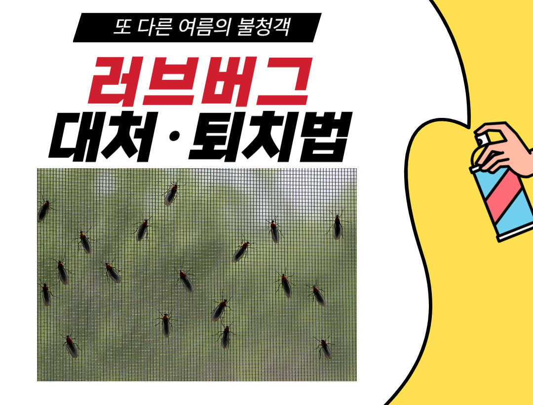 러브버그 대처 및 퇴치법 안내 이미지, 방충망에 붙은 러브버그와 스프레이를 들고 있는 손이 대비되는 시각자료