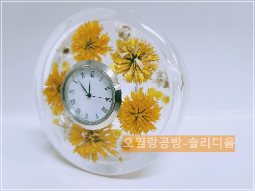 솔리디움시계
오월랑공방
국화