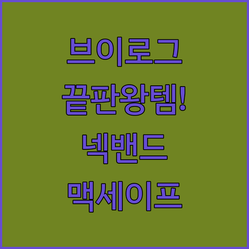 싱플렉스 맥세이프 셀카 모니터 및 브..