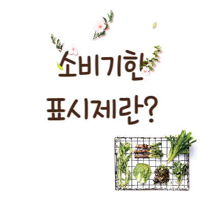 소비기한표시제