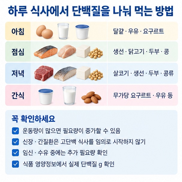 달걀 우유 생선 두부 콩 살코기를 아침 점심 저녁에 나눠 먹는 단백질 식사 구성 이미지