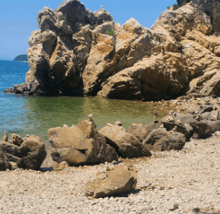 충남 당진 봄 여행지 장고항