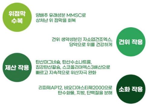 위장약-카베진-효능