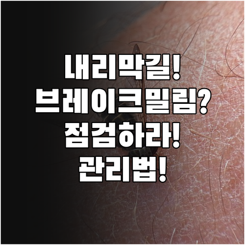 내리막길 브레이크 밀림, 자전거 점검..