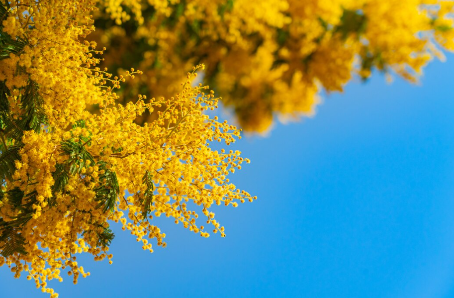 2024년 4월 주간별/지역별 날씨 전망