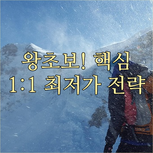 초보자 스키 강습: 1:1 선점, 주..