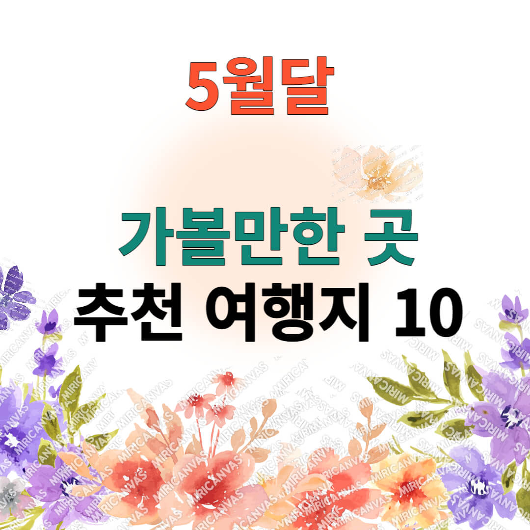 5월달 여행지