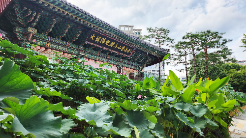 서머셋팰리스 호텔 주변 조계사
