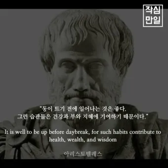 아리스토텔레스의 명언 인내는 쓰고 열매는 달다 실천적 의미_2