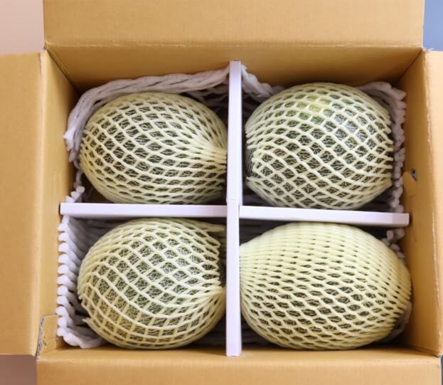 생방송투데이 이 주의 장바구니 경북 고령 쌍둥이메론농장 하미과 & 설향 멜론 주문방법 생방송투데이 3776회