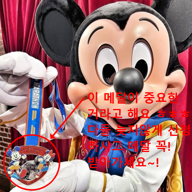 디즈니런 서울 2025 참가일정 코스 예매방법 및 꿀팁 총정리